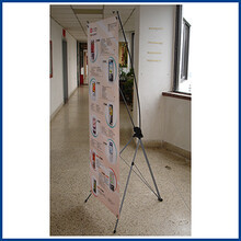 青島彩虹心文化傳播 架設多元文化交流的橋梁