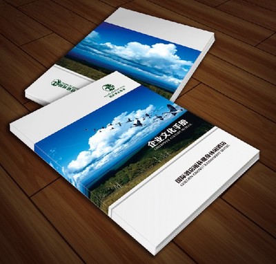 供應(yīng)福建廣告印刷、畫冊印刷與雜志印刷 莆田印刷廠家的專業(yè)服務(wù)